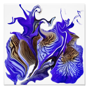 Purple Iris Flower Swirls Photo Print
