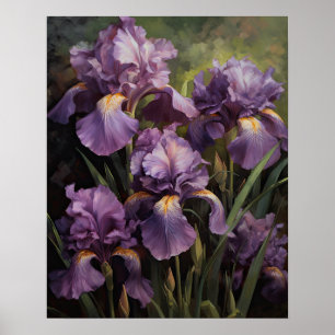 Purple Iris Flowers Art Print Poster