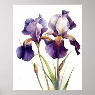 Purple Iris Flowers Art Print Poster