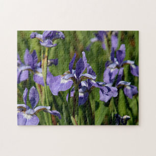 Purple iris flowers jigsaw puzzle