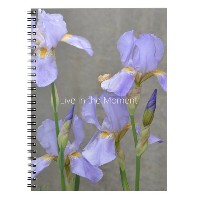 Purple Iris Flowers (my photography) Notebook (Front)