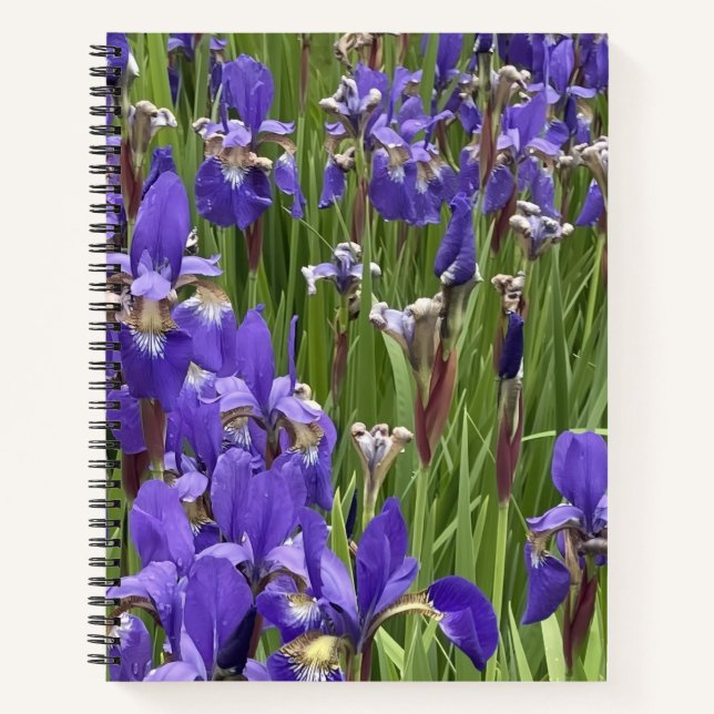 Purple Iris Flowers Nature Plants Photography Notebook (Front)