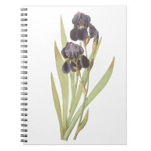 Purple Iris Flowers Notebook