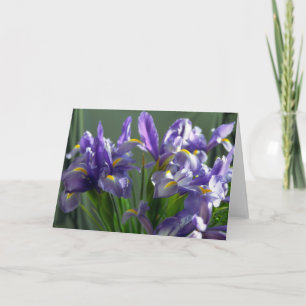 Purple Iris Flowers Photo Greeting Card