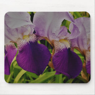 Purple iris flowers photo Mousepad