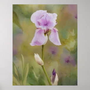 Purple Iris Garden Art Flower Floral Poster