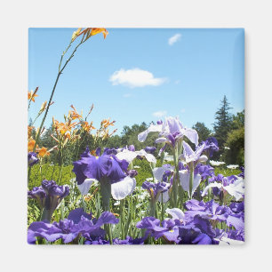 Purple Iris Garden Magnet