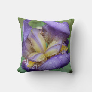 Purple Iris (Iris Germanica) Cushion