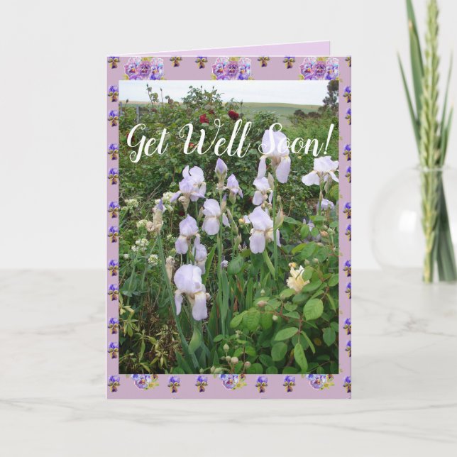 Purple Iris irises Garden Get Well Soon Card (Front)