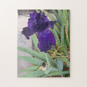 Purple Iris Jigsaw Puzzle