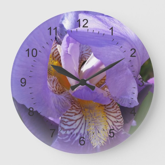 purple iris large clock (Front)