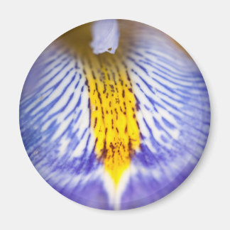 Purple Iris Magnet