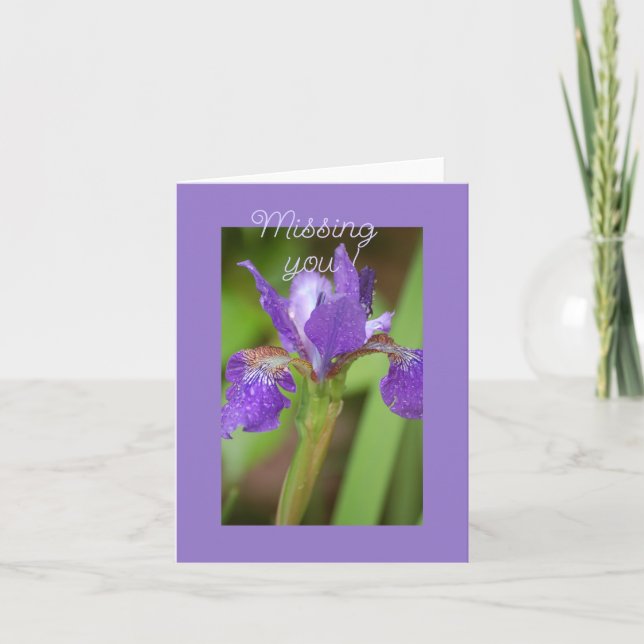 Purple Iris - Missing You   Card (Front)