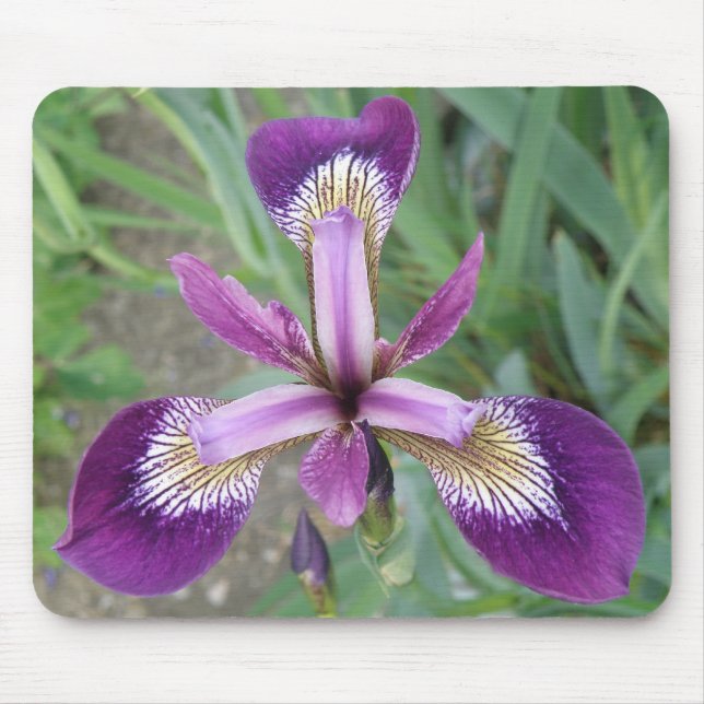 Purple Iris Mousepad (Front)