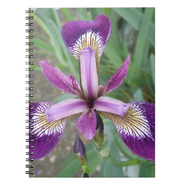 Purple Iris Notebook (Front)