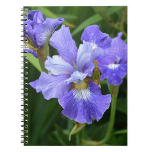 Purple iris notebook
