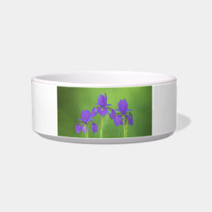 Purple Iris Painting - Original Flower Art Bowl