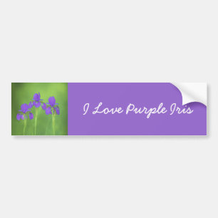 Purple Iris Painting - Original Flower Art Bumper Sticker