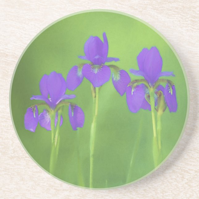 Purple Iris Painting - Original Flower Art Coaster (Front)