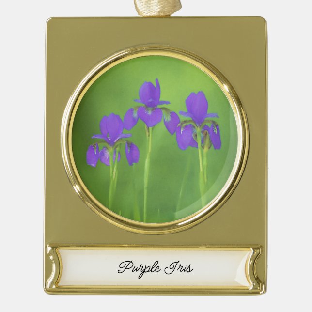 Purple Iris Painting - Original Flower Art Gold Plated Banner Ornament (Front)