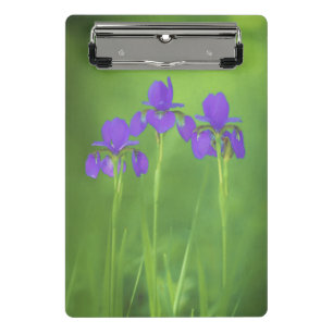 Purple Iris Painting - Original Flower Art Mini Clipboard
