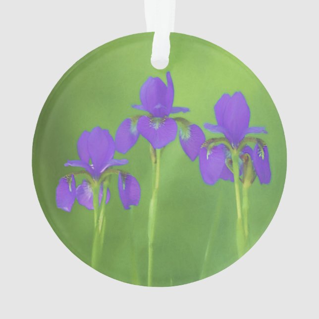 Purple Iris Painting - Original Flower Art Ornament (Back)