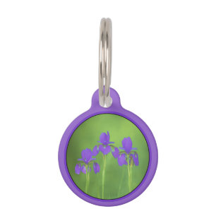 Purple Iris Painting - Original Flower Art Pet Tag