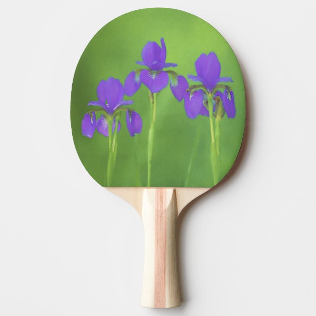 Purple Iris Painting - Original Flower Art Ping Pong Paddle (Front)
