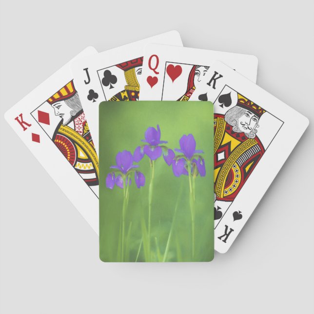 Purple Iris Painting - Original Flower Art Playing Cards (Back)