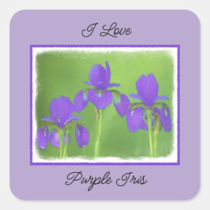 Purple Iris Painting - Original Flower Art Square Sticker