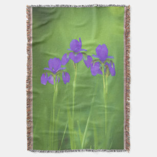 Purple Iris Painting - Original Flower Art Throw Blanket