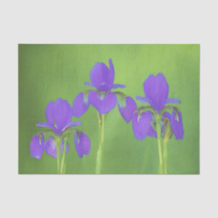 Purple Iris Painting - Original Flower Art Tissue Paper