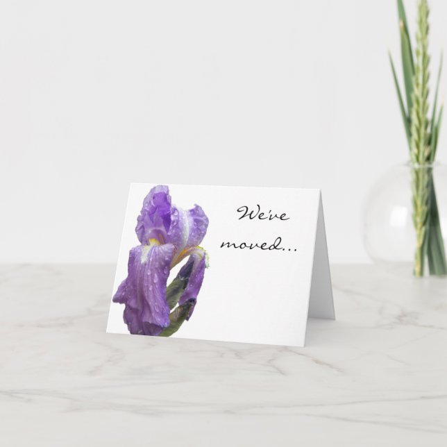 Purple Iris Photograph Announcement (Front)