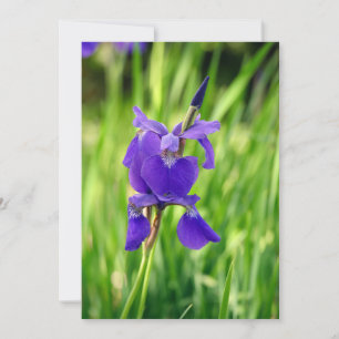 Purple Iris Thank You Card