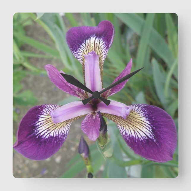Purple Iris Wall Clock (Front)