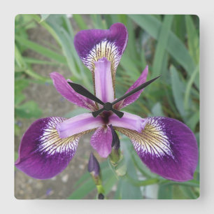 Purple Iris Wall Clock