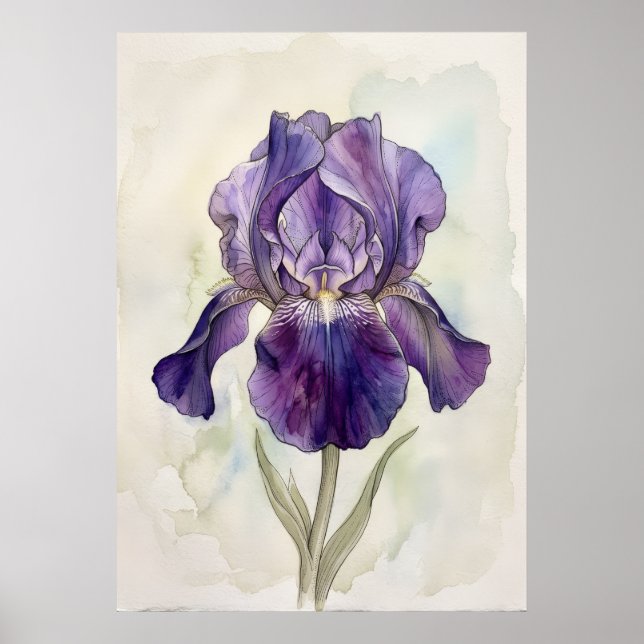 Purple Iris Watercolour Art Print | Botanical Flor (Front)