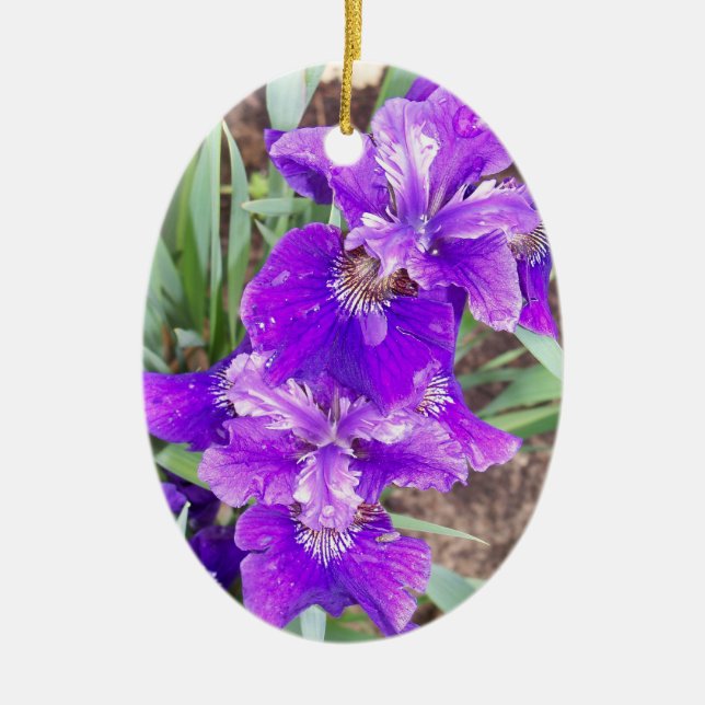 Purple Iris with Water Droplets Ornament (Front)