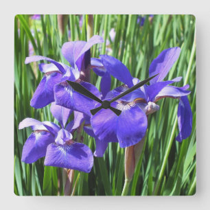 Purple Irises Clock