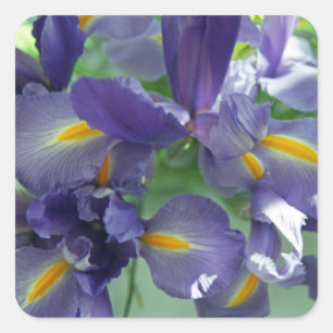 Purple Irises Flower Art Decal Stickers