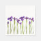 Purple Irises Flower Colourful Iris Flowers Floral