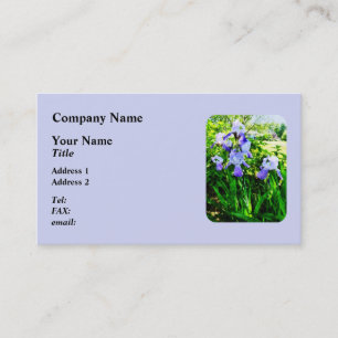 Purple Irises in Suburbs Business Card