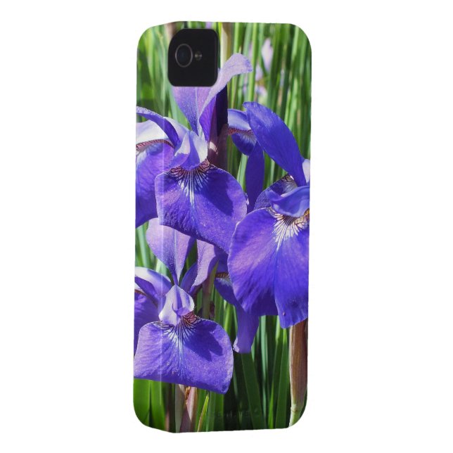 Purple Irises iPhone4 case (Back/Right)