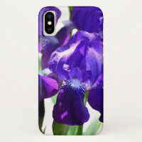 Purple Irises Iris Flower