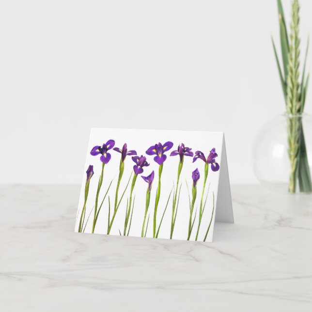 Purple Irises - Iris Flower Customised Template (Front)