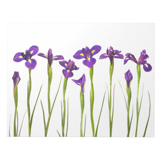 Purple Irises - Iris Flower Customised Template Notepad (Front)