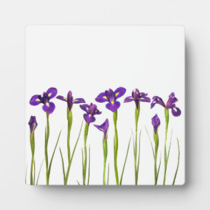 Purple Irises - Iris Flower Customised Template Plaque