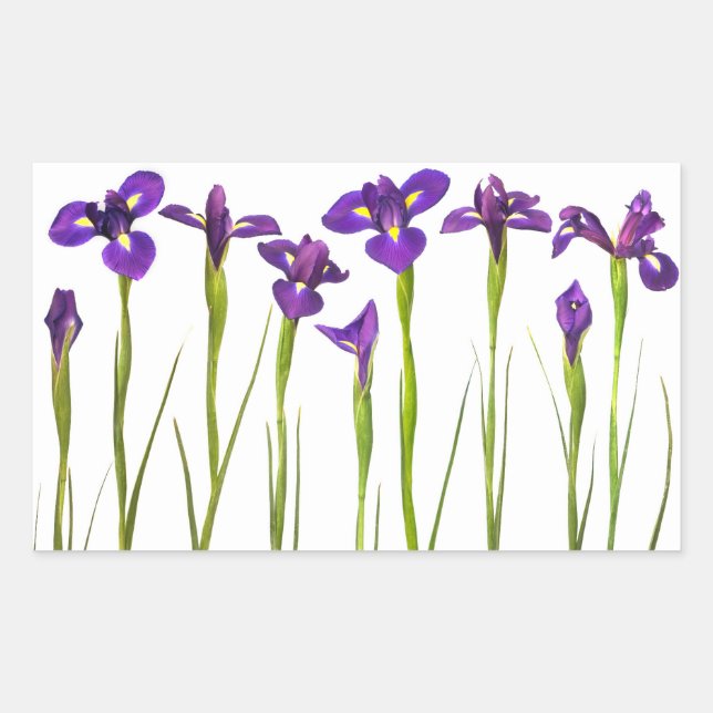 Purple Irises - Iris Flower Customised Template Rectangular Sticker (Front)
