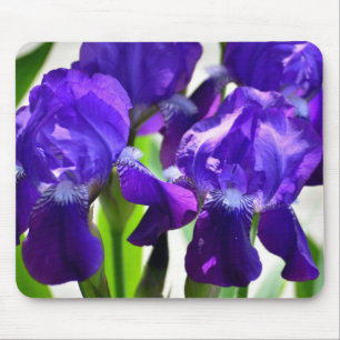Purple Irises Iris Flower Mouse Pad