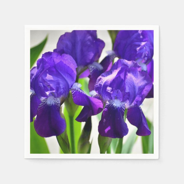 Purple Irises Iris Flower Napkin (Front)